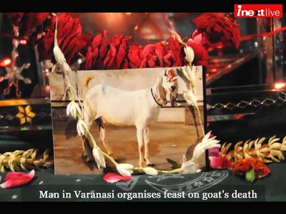 Man in Varanasi organises feast on goat's death