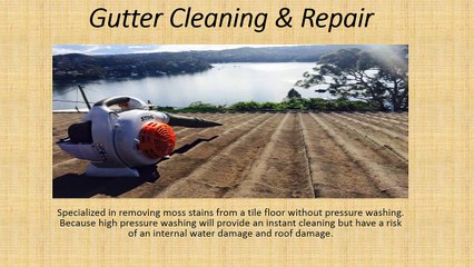 Gutter Cleaning & Repair
