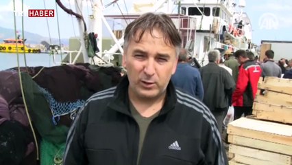 Marmara'da palamut bereketi