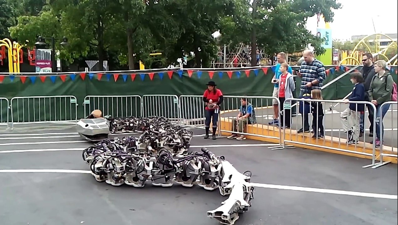 Reproduction taille réelle d'un serpent préhistorique géant en robot...