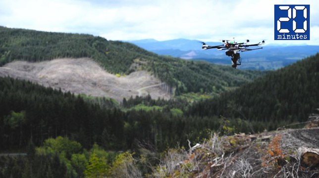 Des drones pour replanter des arbres - Le rewind du mercredi 28 septembre 2016.