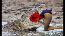 Crocodile Attack On Humans - Python, Hyena, Giraffe, Elephant - Amazing Wild Animal Attacks #10
