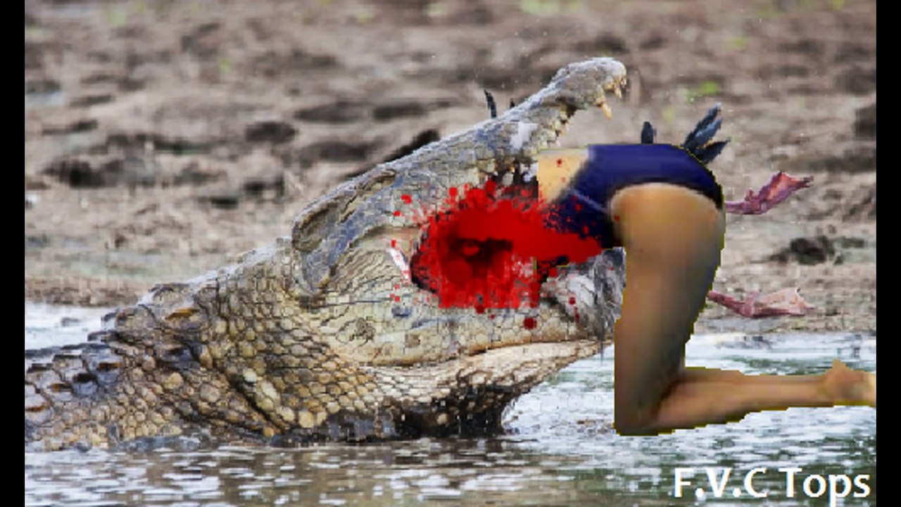 Crocodile Attack On Humans - Python, Hyena, Giraffe, Elephant - Amazing Wild Animal Attacks #10