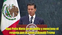 Peña Nieto se arrodilla y se humilla ante Donald Trump   Momento Historico