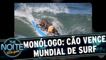 Monólogo: Cão brasileiro vence campeonato de Surf pela 3ª vez