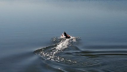 152 VO SPITFIRE avec une K prop bipale de 31