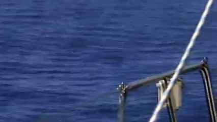 Just a crazy Croatian firefighter pilot