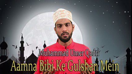 Muhammad Umer Qadri - Aamna Bibi Ke Gulshan Mein