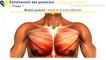 Voici les exercices pour développer les muscles votre poitrine correctement