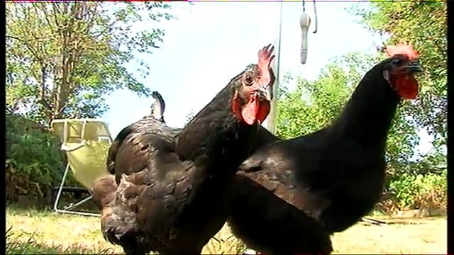 Vu d'ici - 28/09/2016