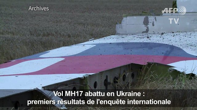 Vol MH17 abattu: le missile BUK transporté depuis la Russie