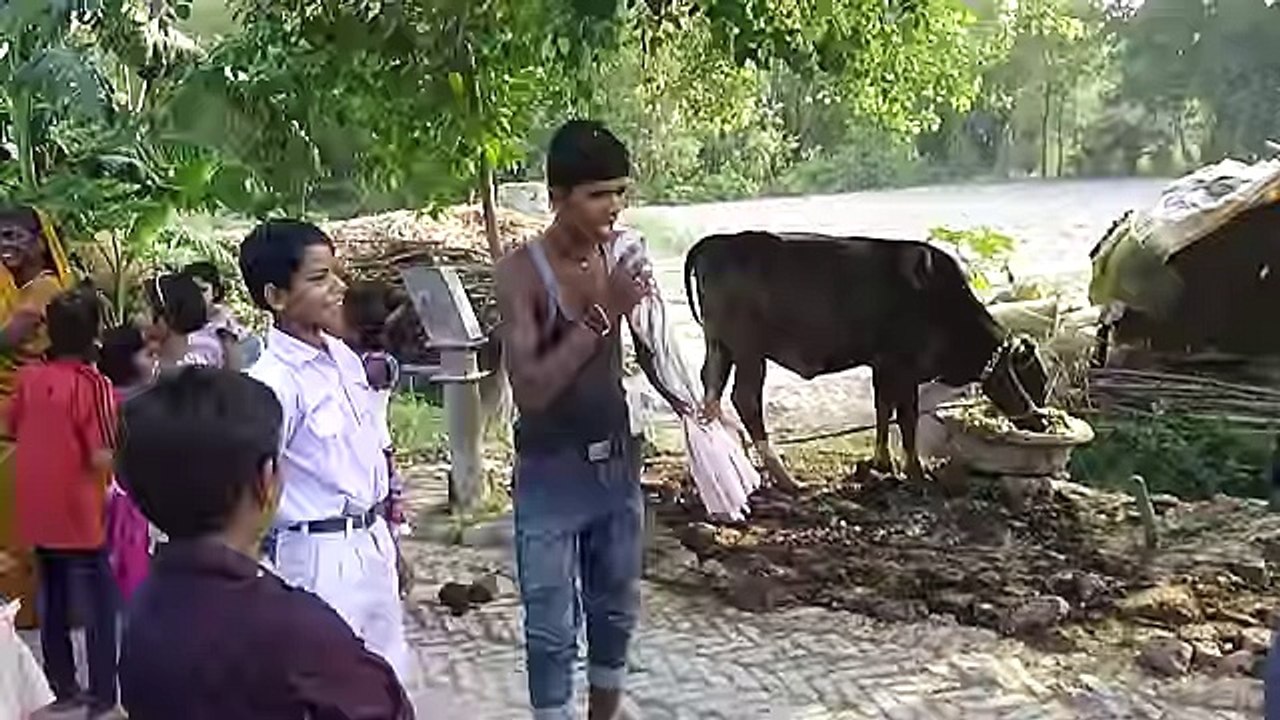 Crazy Nagin Dance In Mahipura - YouTube