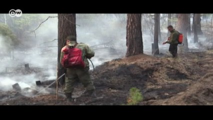 Sibirya'da iklim değişikliği tehdidi