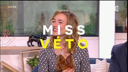 Chroniques Veto : Le russkiy Toy