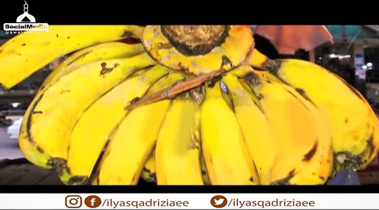 Maulana Ilyas Qadri is Telling How to Preserve Bananas