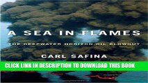 [PDF] A Sea in Flames: The Deepwater Horizon Oil Blowout Full Online