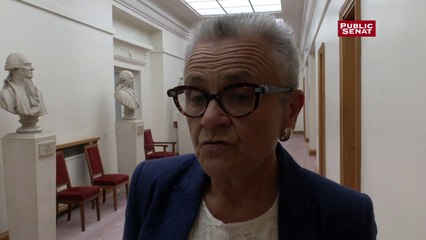 Pour la sénatrice Françoise Gatel, "l'article IVG est inexaminable"
