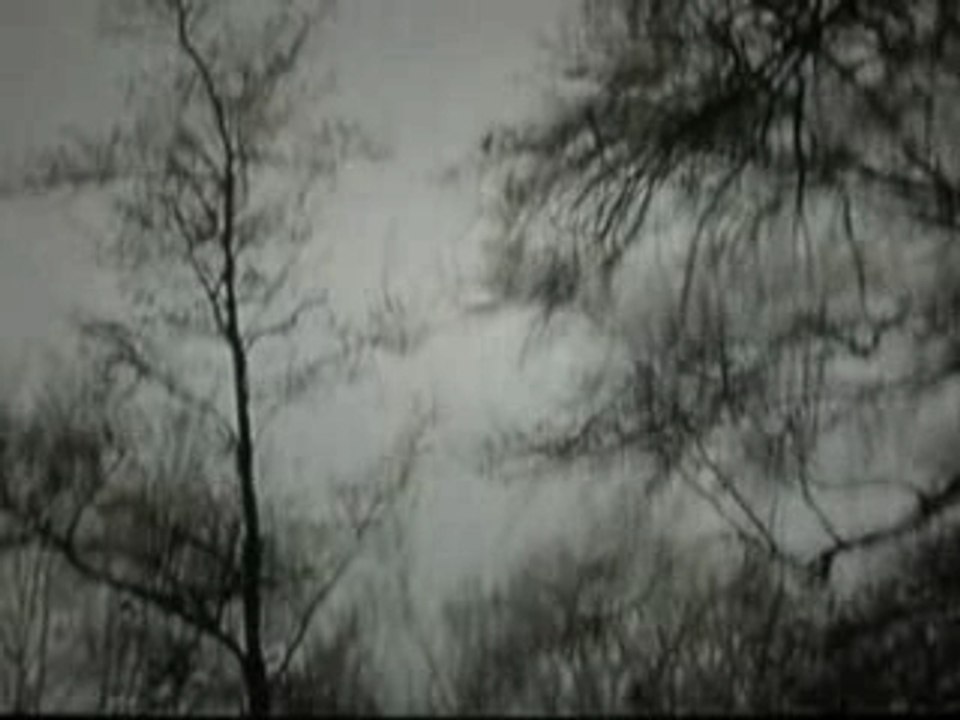 L'insoutenable immortalité de l'être