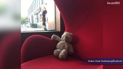 Hotel Turns a Lost Teddy Bear into a Viral Sensation