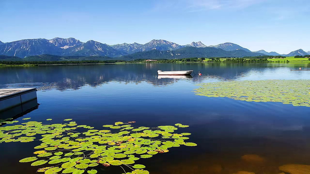 Wonderland Music-Relaxing Study Piano Music and Nature Sound-ZenMusic-