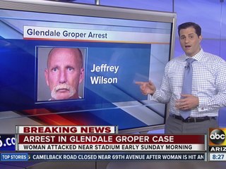 Man arrested for Glendale sex assault Sunday