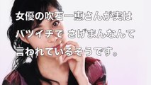 【超絶悲痛】吹石一恵 女性ファンからマシンガン攻撃www→火だるま→生茶CM打ち切りwww バツイチ さげ○ん ロバ顔…