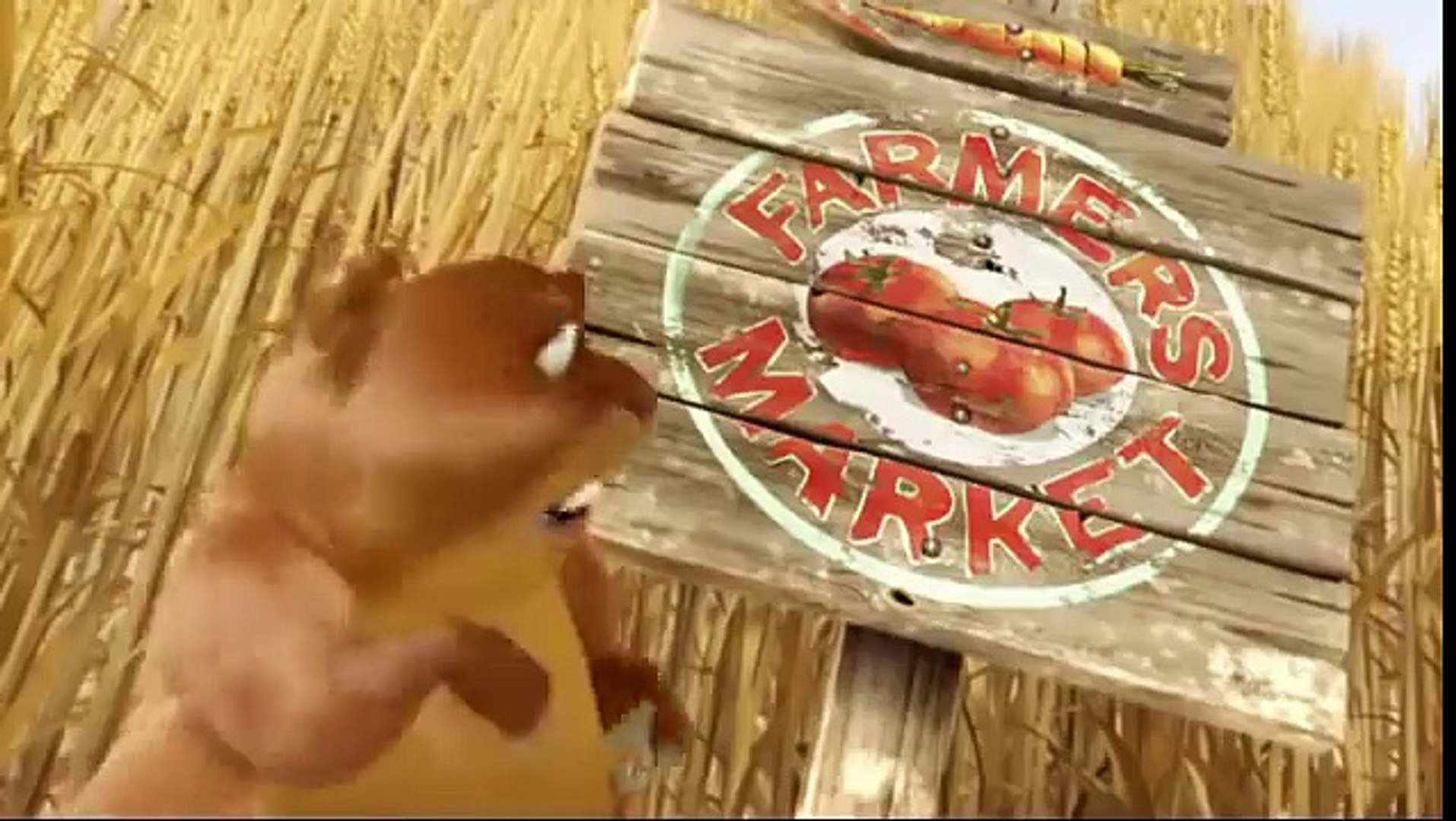 Funny Animal animation video short film
