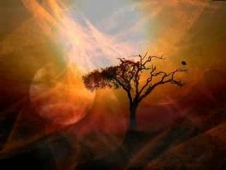 "Le bal des lazes " par Cat