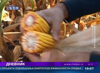 Dnevnik, 28. septembar 2016. (RTV Bor)