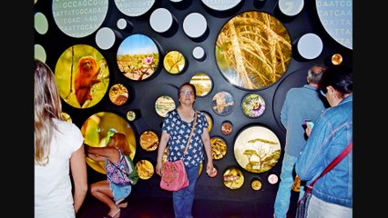 OUR HOLIDAY IN RIO DE JANEIRO, BRAZIL