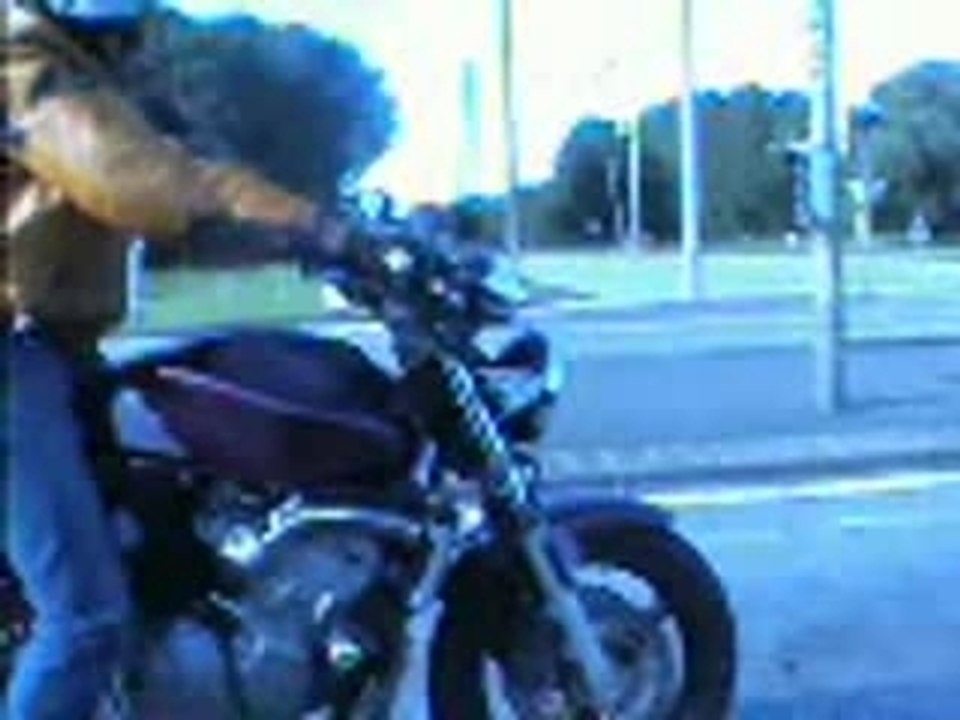 Honda 600 Hornet Vs Bmw 320D Burn Out