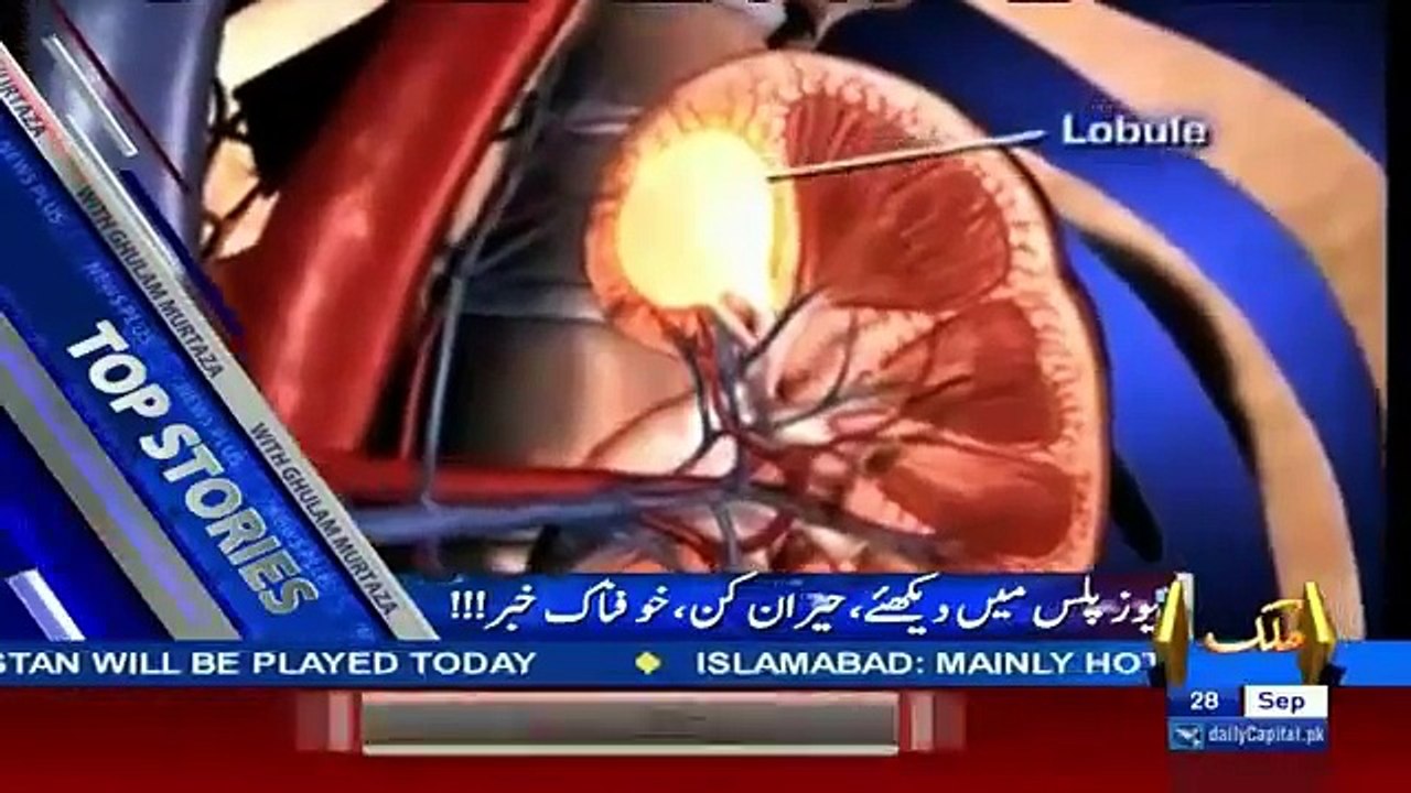 News Plus –28th September 2016