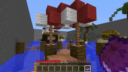 Minecraft_ THE PIRATE'S TREASURE! - CAPTAIN SEAGULL'S BUTTONS - Custom Map