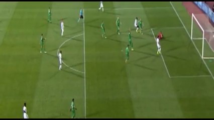 Ludogorets vs Paris Saint-Germain 1-1 Matuidi Goal 2016 -