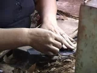 Fabrication des cigares à Cuba