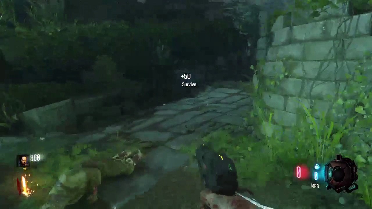 Gameplay (248)