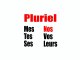 Learn French - Adjectifs possessifs pluriels