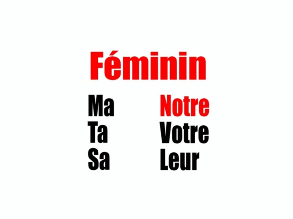 Learn French - Adjectifs possessifs féminins