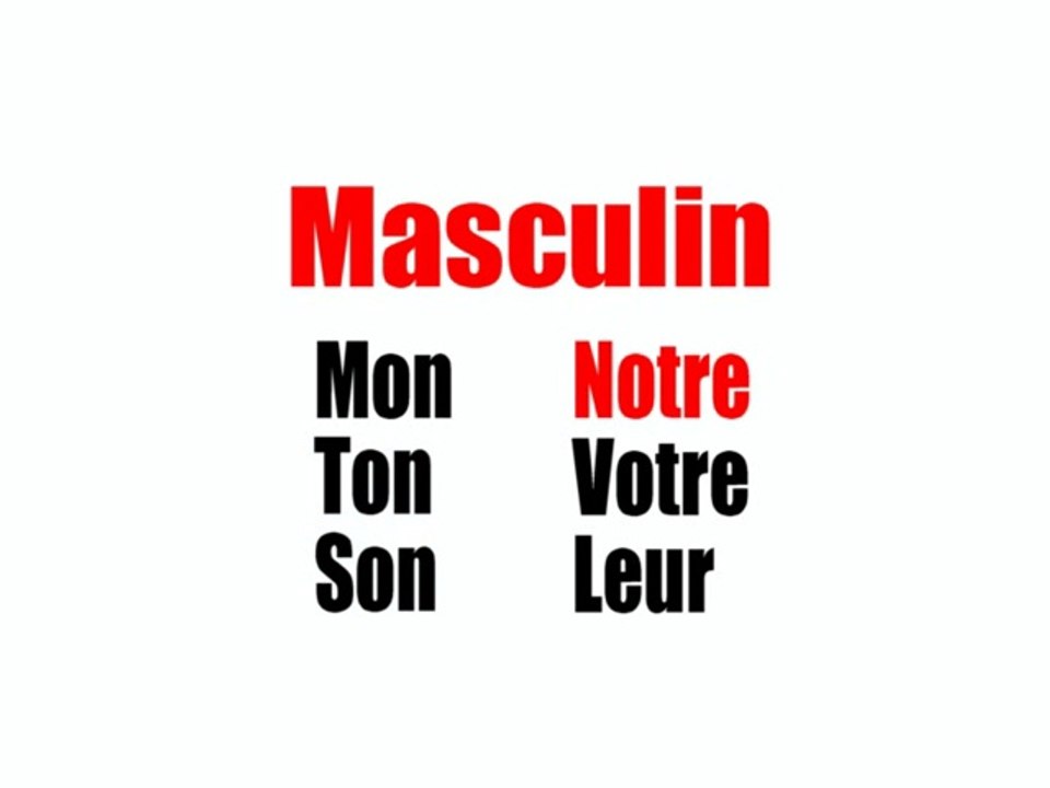 Learn French - Adjectifs possessifs masculins