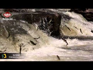 Foto Coğrafya 19 Van Erciş