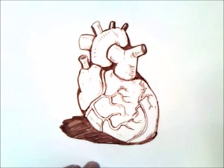 como dibujar un corazon | como dibujar un corazon real