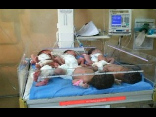 bebes en la maternidad la altagracia