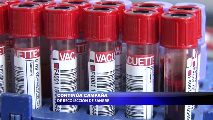 Continua campaña de recoleccion de sangre