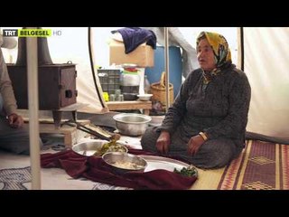 Yeryüzü Hikayeleri - 2. Bölüm - TRT Belgesel