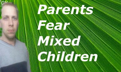 Bullying as parents fear of with mixed children