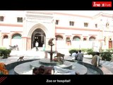 SN Medical College : Hospital or Zoo!